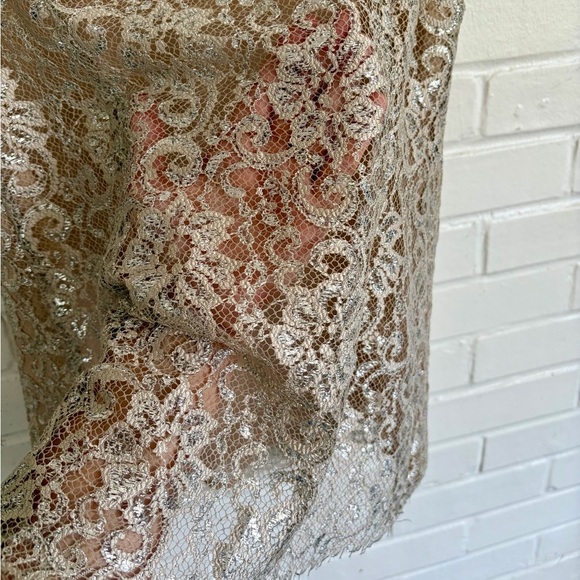 HD in Paris by Anthropologie Metallic Lace Top SZ 2 EUC - Picture 7 of 10